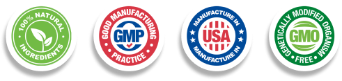 Certification Badges